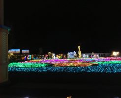 2016-11-23-19-12-43